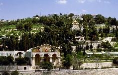Израиль. Иерусалим. Отель Mount of Olives 3*