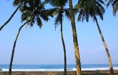 Шри-Ланка. Ваддува. Blue Water Resort 5*